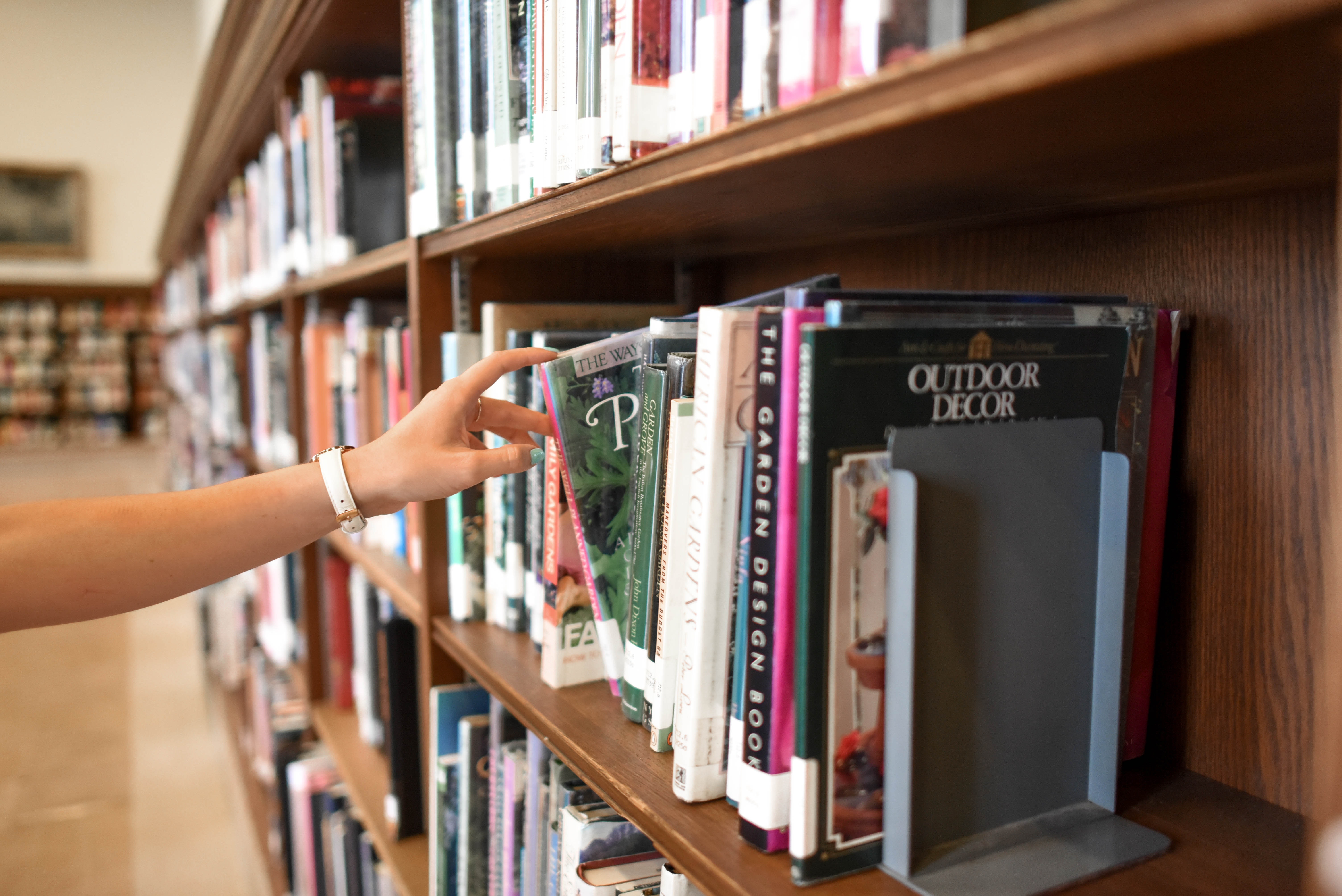 Booksstore Photo by Element5 Digital from Pexels